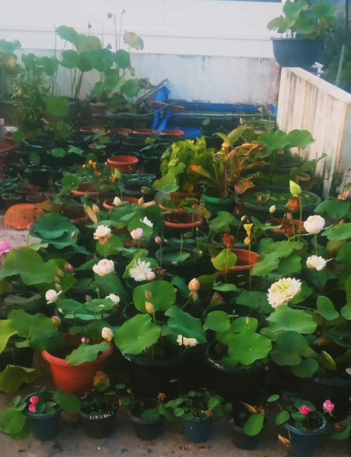 Raelyn'S Homestay Kochi Exterior foto