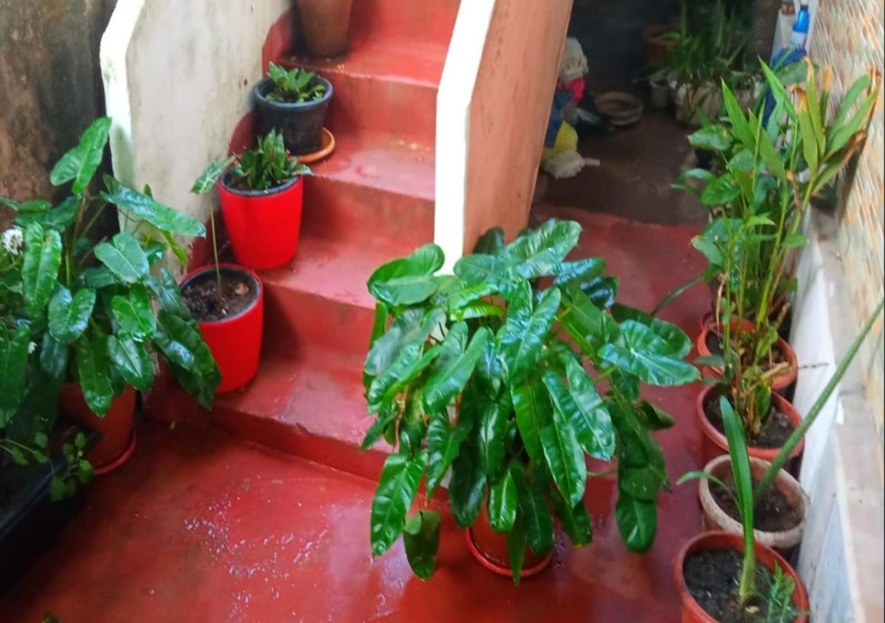 Raelyn'S Homestay Kochi Exterior foto