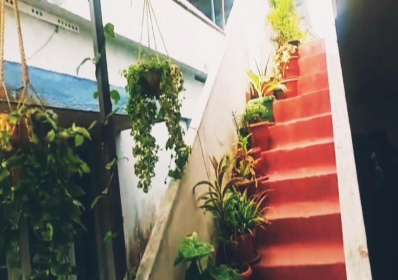 Raelyn'S Homestay Kochi Exterior foto